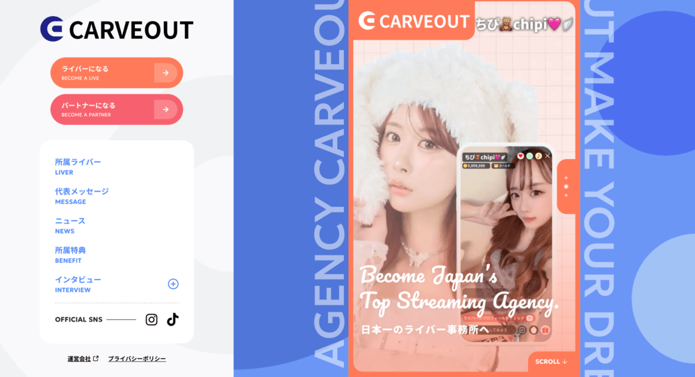 カーブアウトのイメージ画像